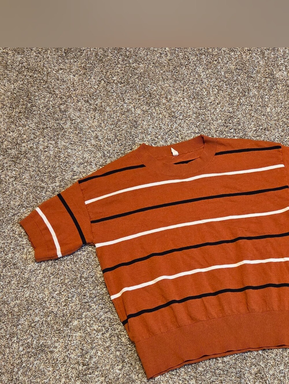Shewin Oranger Crewneck Fall Sweater